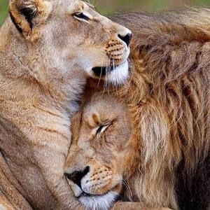 Meet your Posher, Nikki